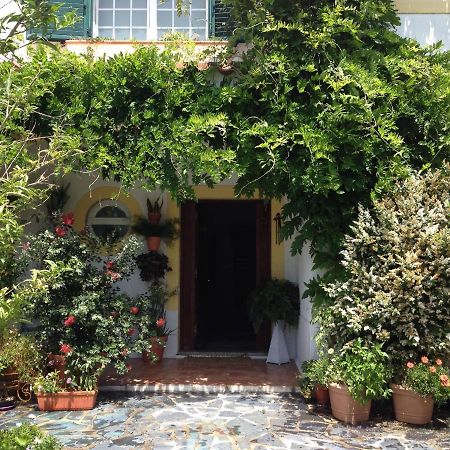 A Casa Do Lagar Apartman Azeitao Kültér fotó