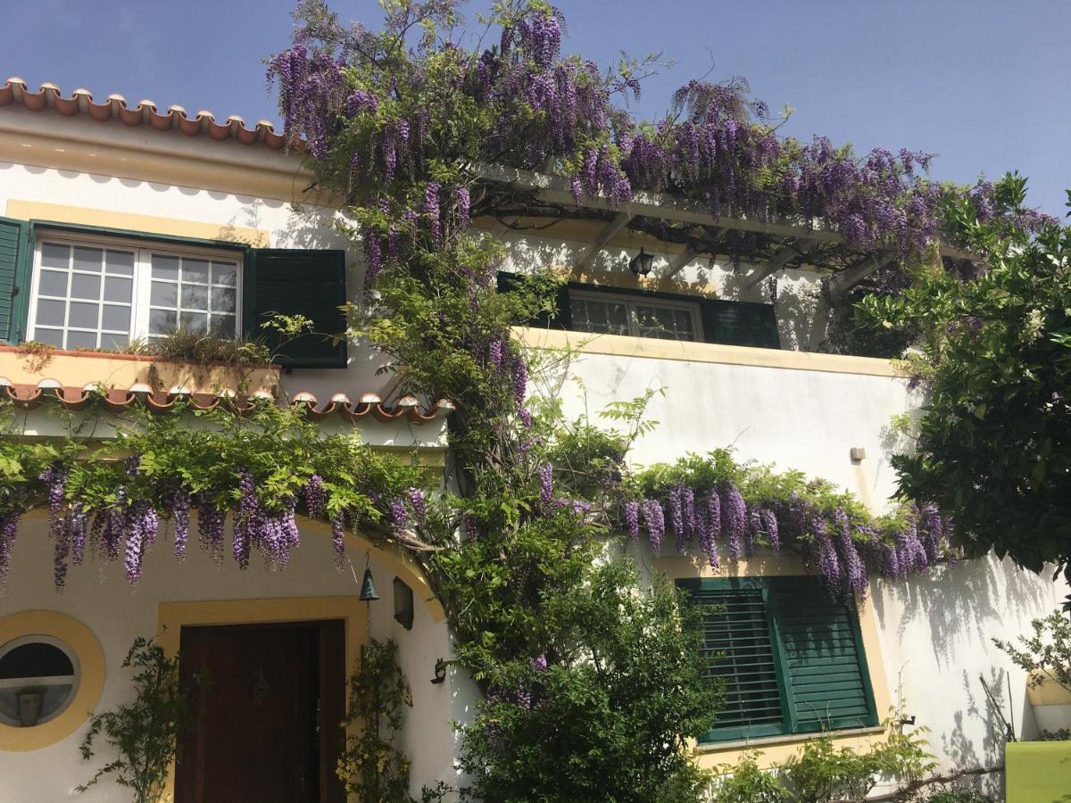 A Casa Do Lagar Apartman Azeitao Kültér fotó