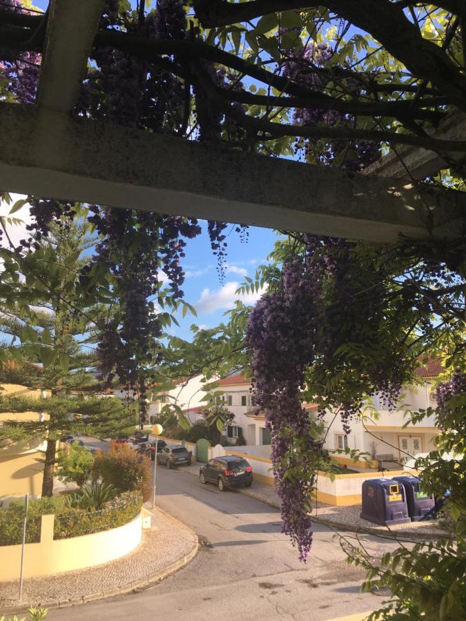 A Casa Do Lagar Apartman Azeitao Kültér fotó