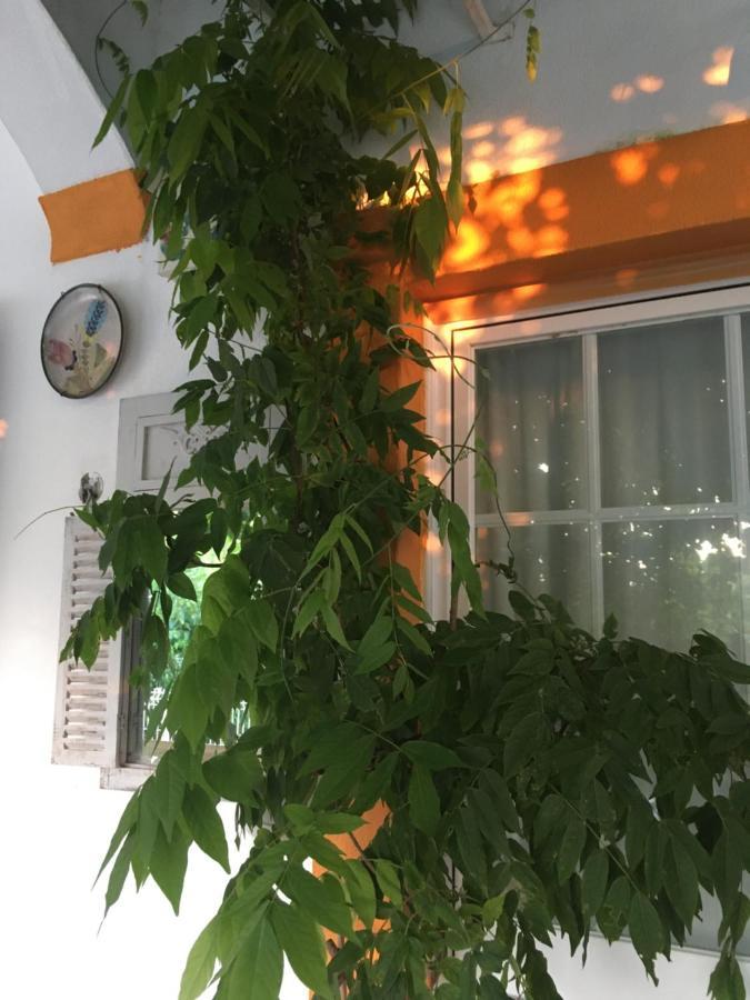 A Casa Do Lagar Apartman Azeitao Kültér fotó