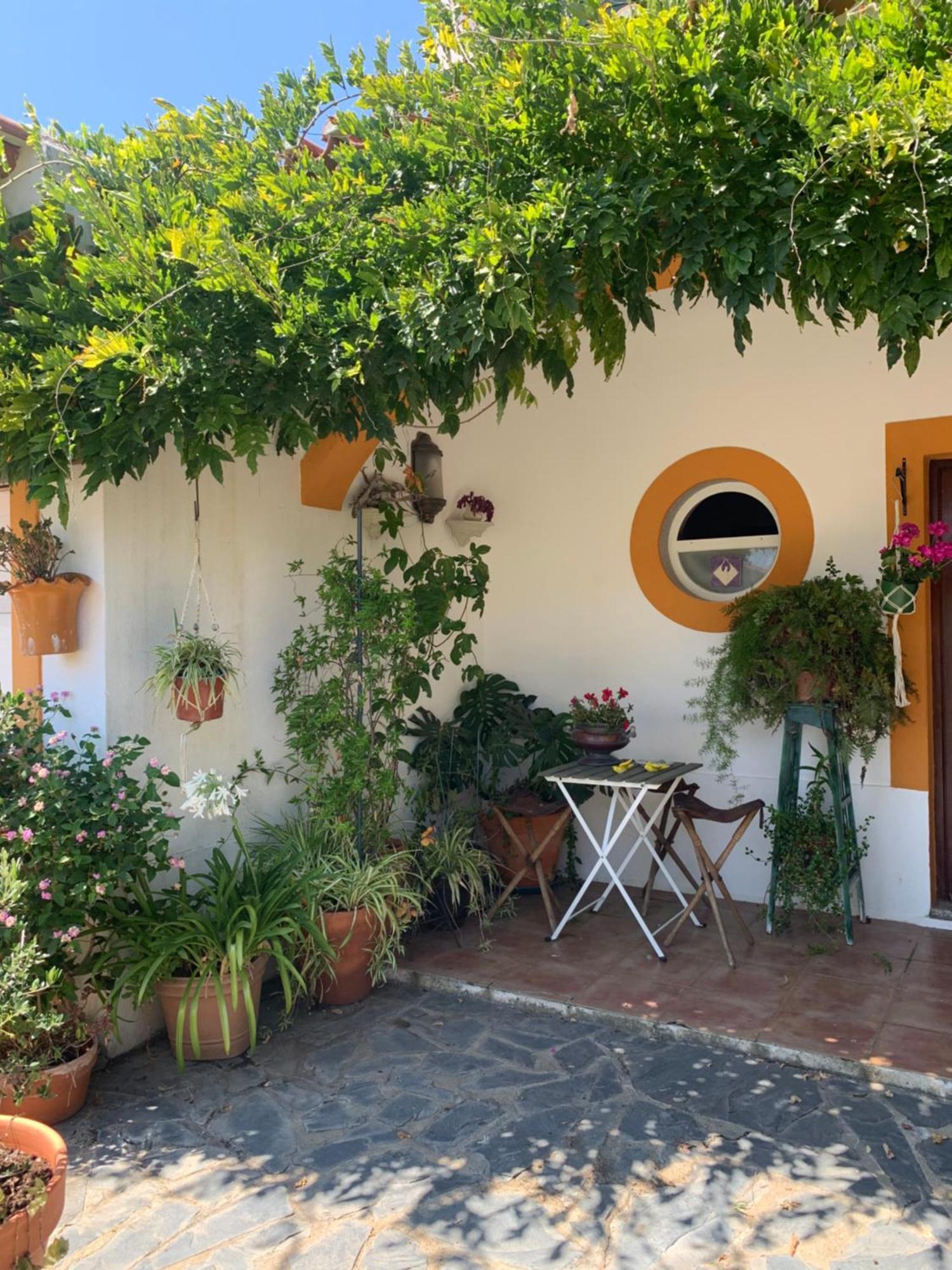 A Casa Do Lagar Apartman Azeitao Kültér fotó