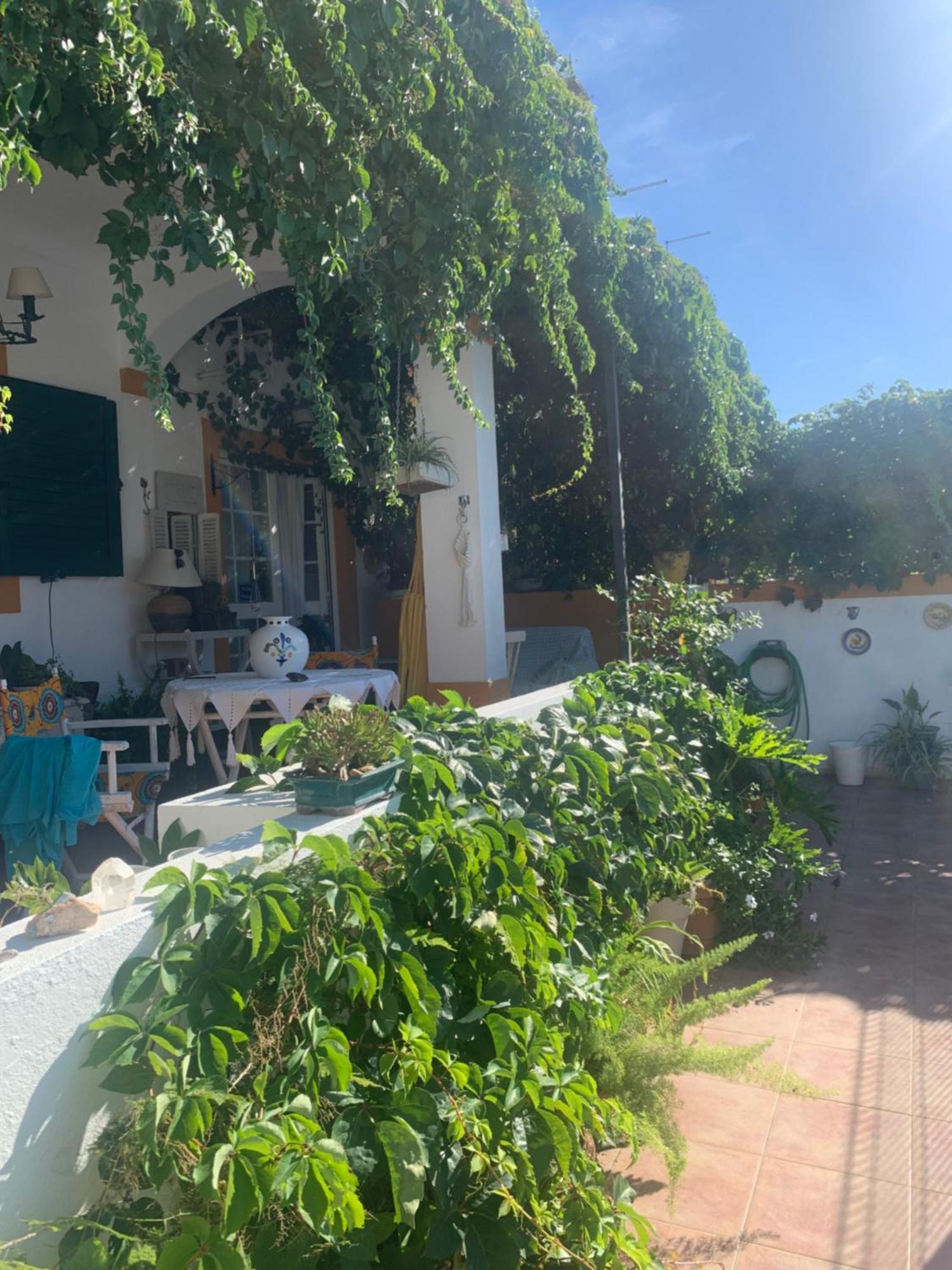 A Casa Do Lagar Apartman Azeitao Kültér fotó