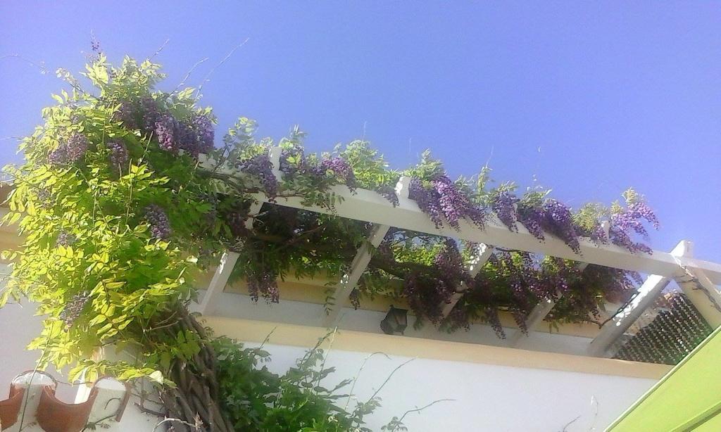 A Casa Do Lagar Apartman Azeitao Szoba fotó